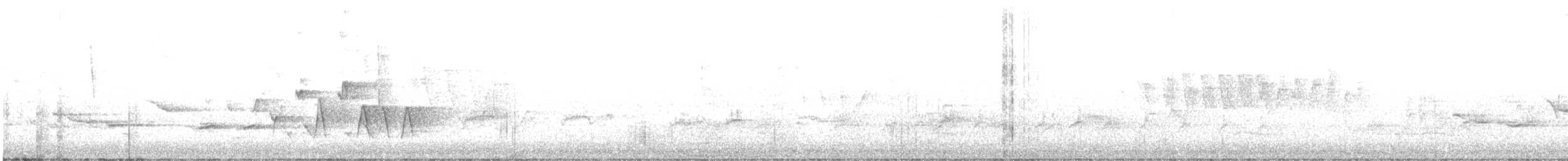 Connecticut Warbler - ML575480181