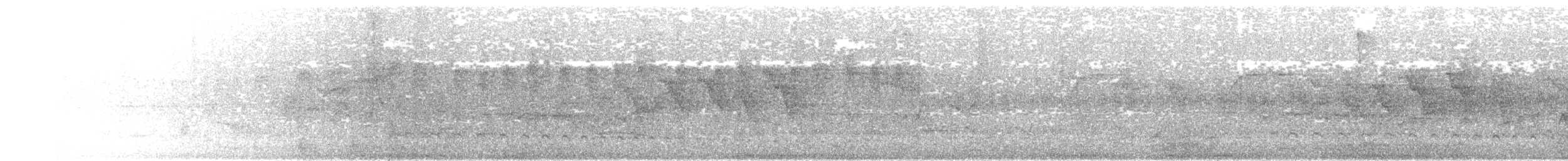 Olivgrau-Ameisenvogel - ML575495491