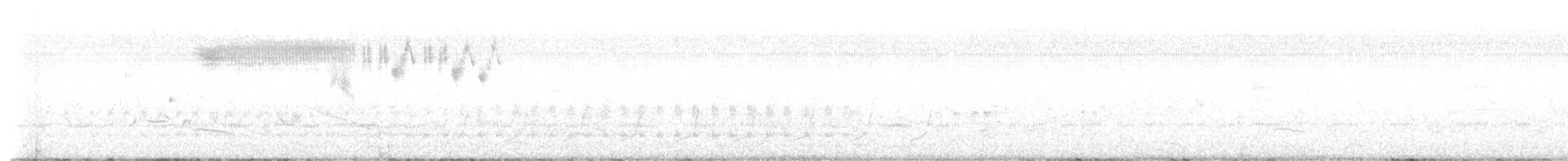 Кузнечиковая овсянка-барсучок - ML575503011