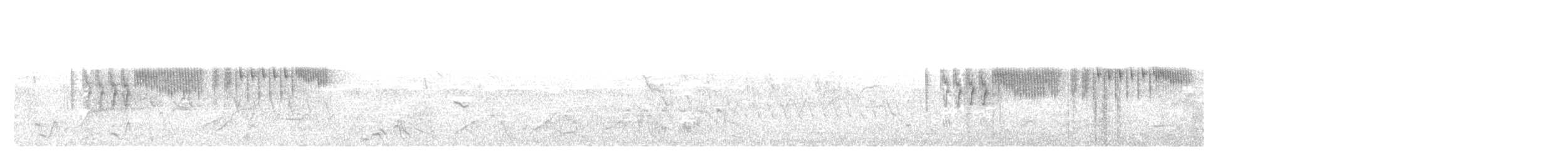 雑種 キンバネアメリカムシクイ ｘ アオバネアメリカムシクイ（F1雑種） - ML575522971
