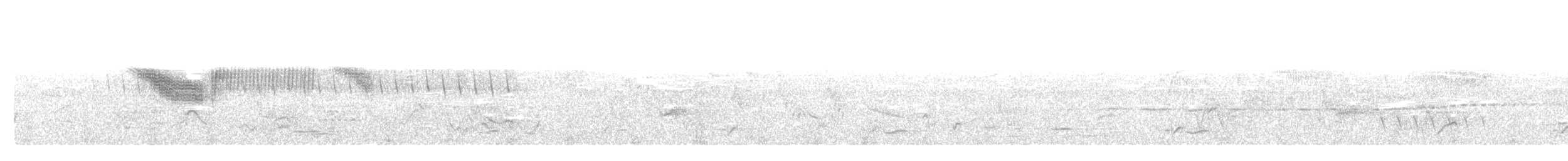 雑種 キンバネアメリカムシクイ ｘ アオバネアメリカムシクイ（F1雑種） - ML575522981