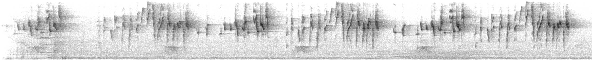 Weißzügel-Waldsänger - ML575543721