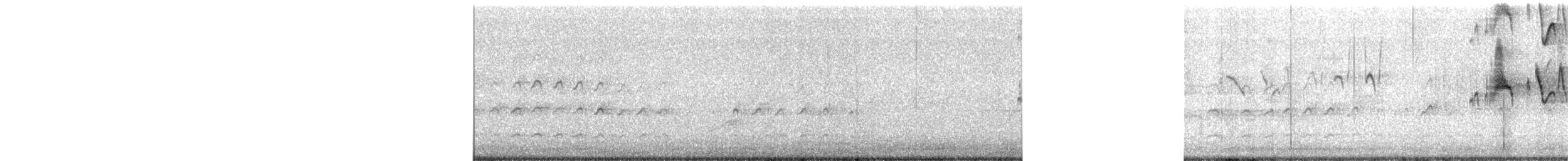 tanımsız Accipiter sp. - ML575547601