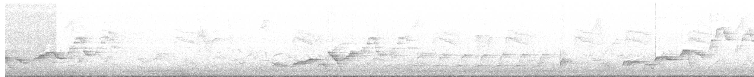 Дрізд-короткодзьоб Cвенсона - ML57558121