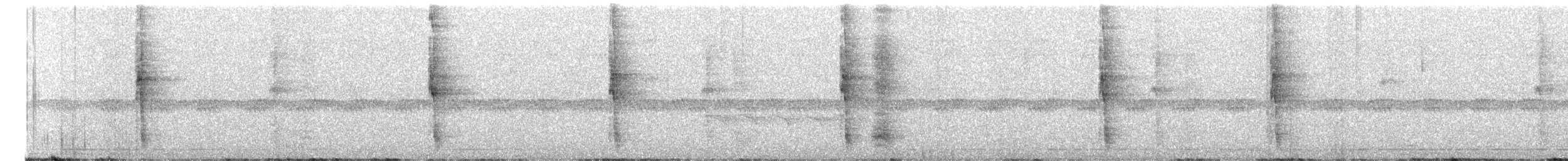 Band-backed Wren - ML575590601