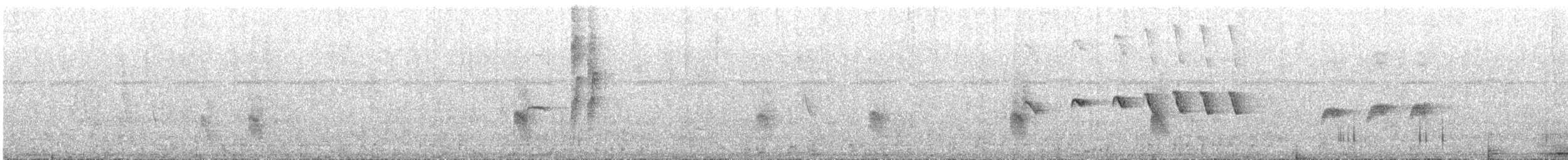 Grauscheitel-Ameisenvogel - ML575603181