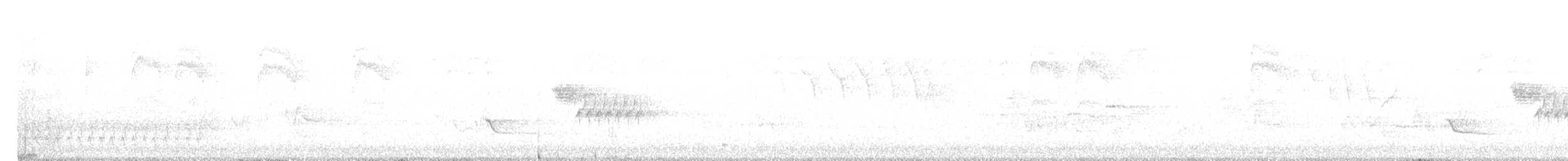 Paruline à gorge grise - ML575644101