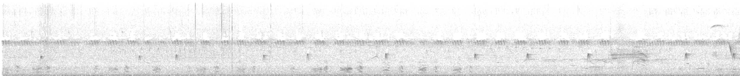 חטפית האלמון - ML575645511