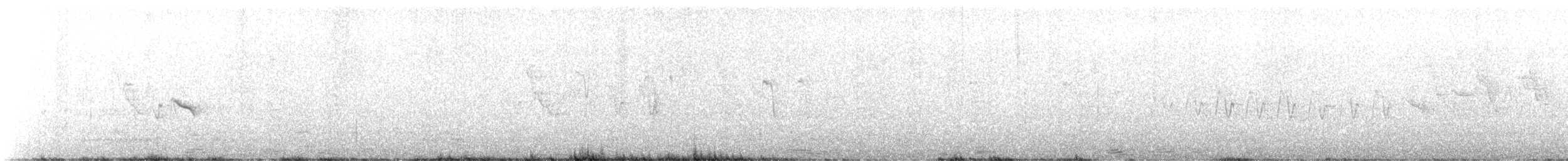 Елепайо гавайський (підвид bryani) - ML575684801