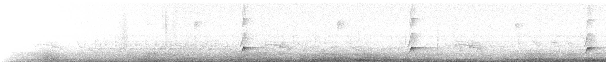 Brown-crested Flycatcher - ML575692131