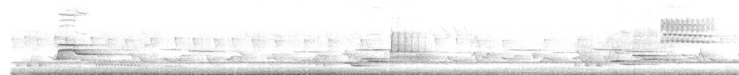 Wood Thrush - ML575730941