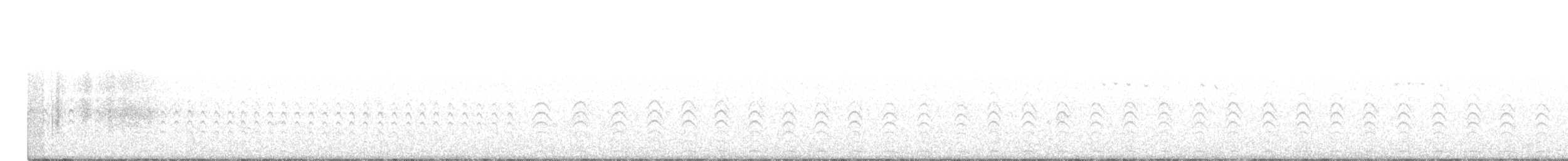 Striped Flufftail - ML575772991