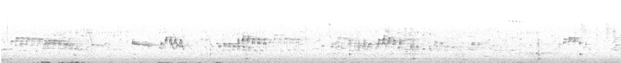 Gezgin Islıkçı Ördek - ML575801841