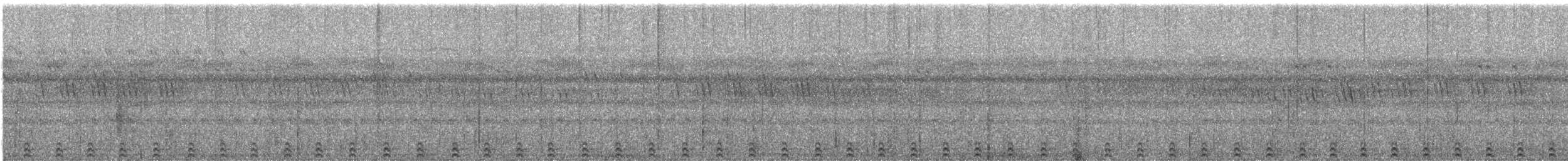 Andamanen-Zwergohreule - ML575816281