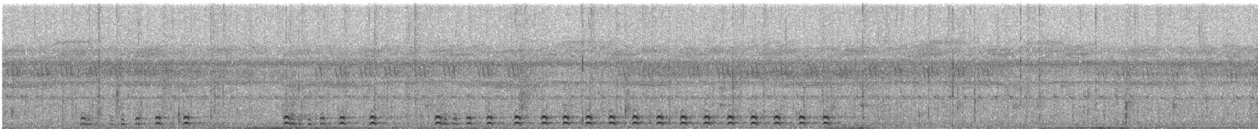 Andamanen-Zwergohreule - ML575816291