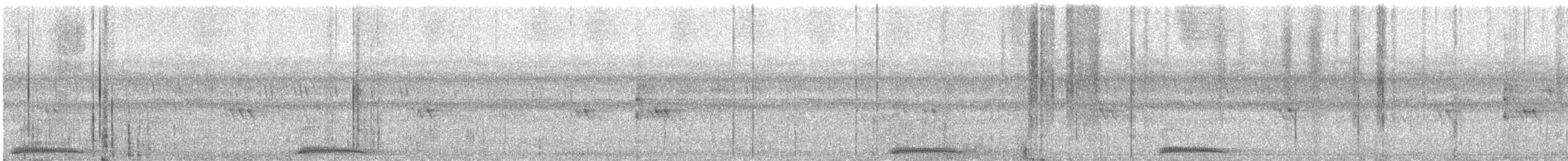 Андаманская иглоногая сова - ML575816381