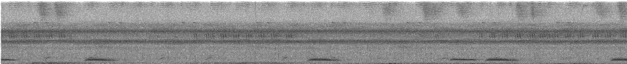 Андаманская иглоногая сова - ML575816391