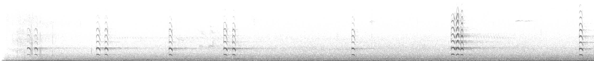 břehouš černoocasý - ML575818751