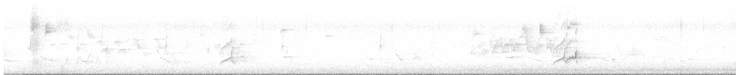 Falco sp. - ML575841531