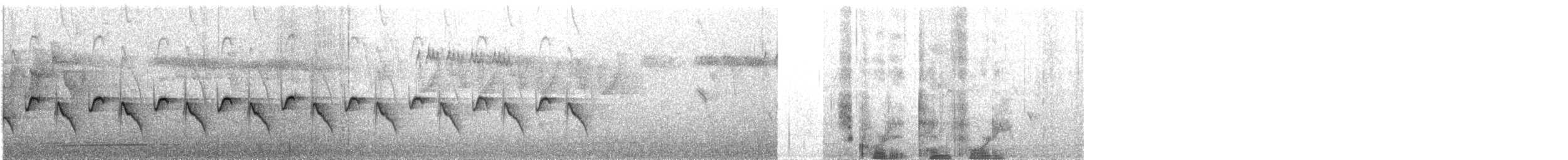 Black-eared Shrike-Babbler - ML575882631