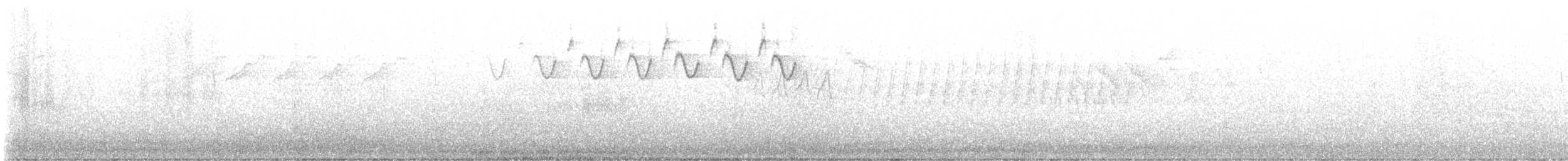 Black-and-white Warbler - ML575893521