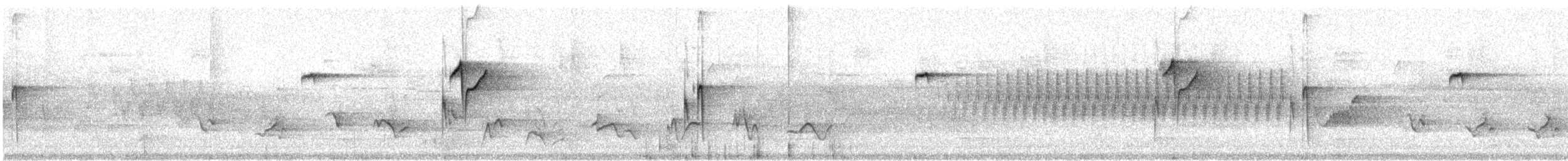 Western Flycatcher (Pacific-slope) - ML575898971