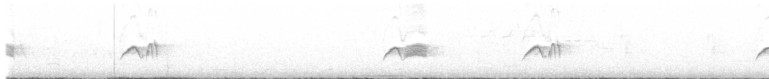 Светлобрюхий фиби - ML575908881