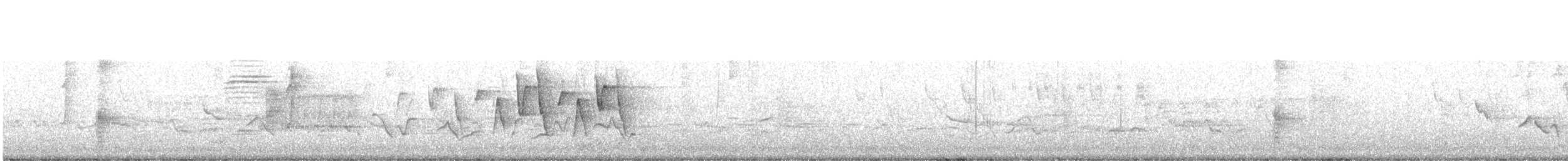 Paruline à gorge grise - ML575930691