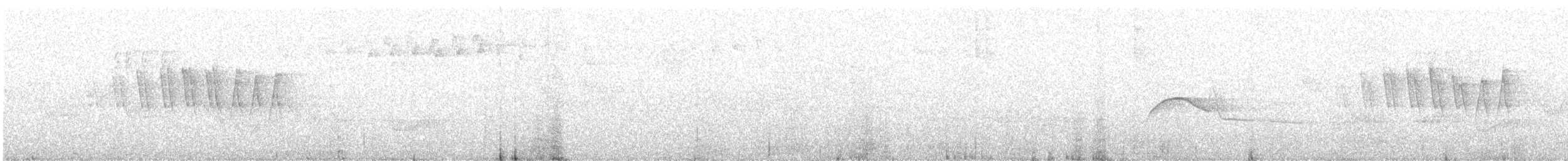 Малая вильсония - ML575939471