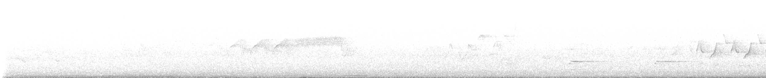 Northern Parula - ML575962761