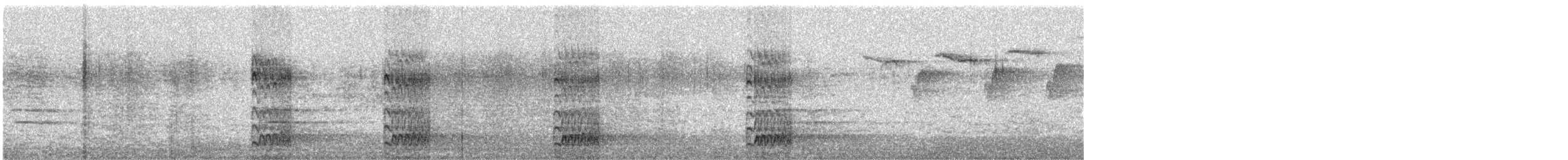 Red-bellied Woodpecker - ML575966221