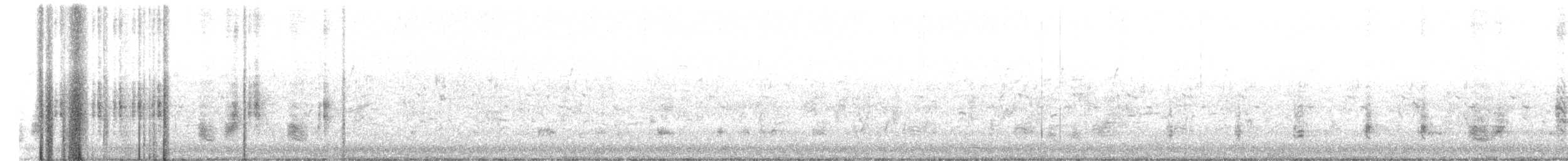 Очеретянка південна (підвид stentoreus/levantinus) - ML575972111