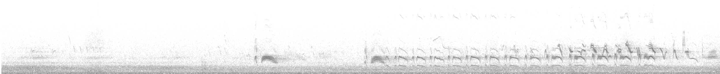 Серогрудый тиранн - ML576008391