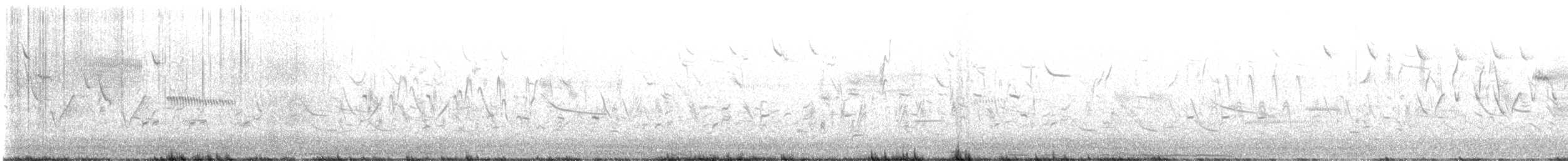Кузнечиковая овсянка-барсучок - ML576012221
