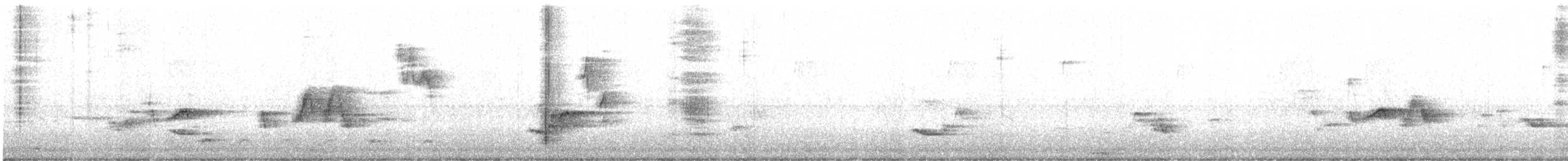 tyranovec olšový - ML576014301