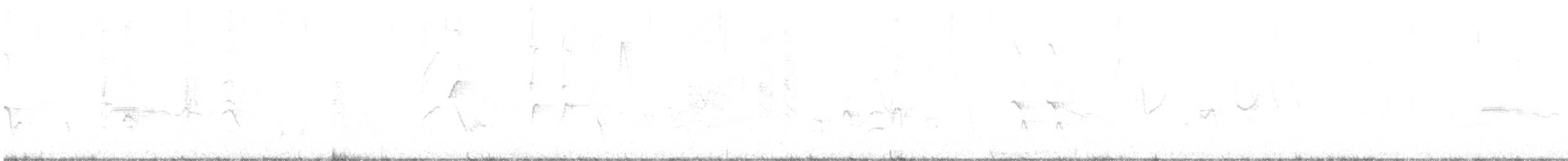 Gray Catbird - ML576028261