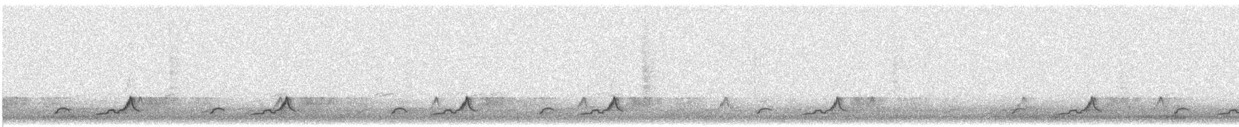 Schwarzkehl-Nachtschwalbe - ML576030561