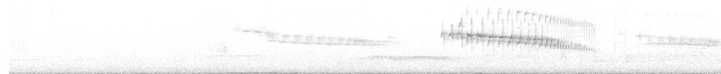 Araucaria Tit-Spinetail - ML576077431