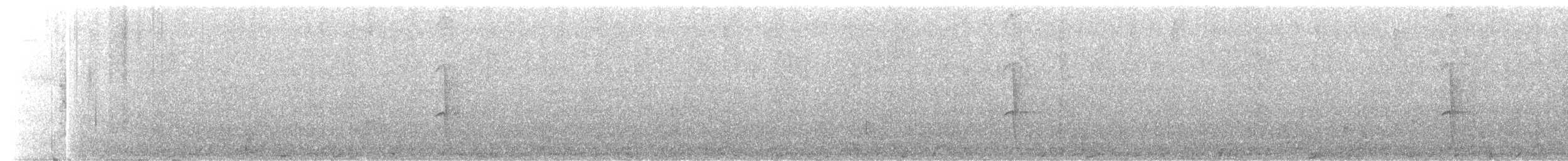 Porte-éventail de Swainson - ML576084711