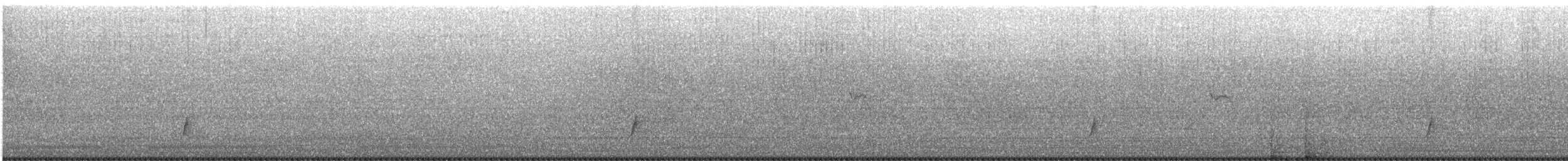 Brown-crested Flycatcher - ML576105281