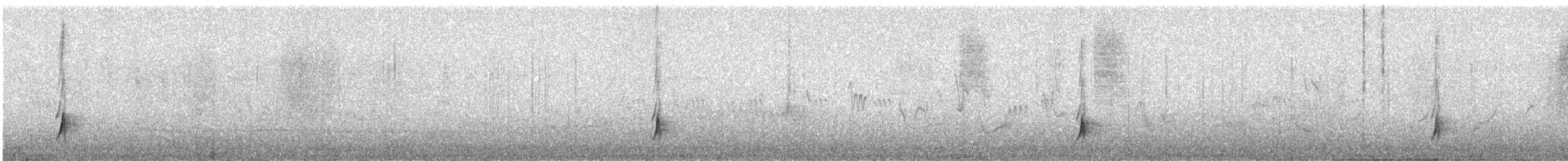 Kara Kuyruklu Bitkuşu - ML576115701