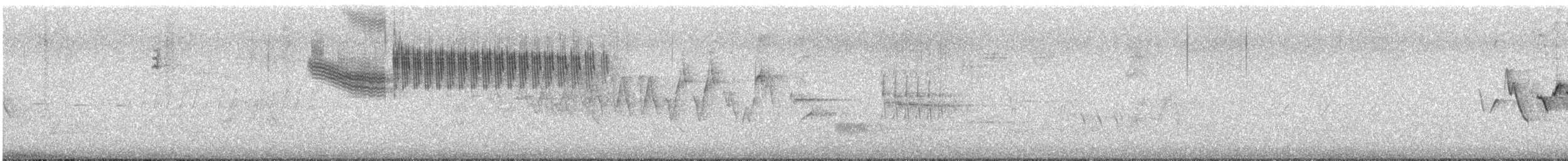 Желтокрылая x Голубокрылая червеедка (гибрид) - ML576132421