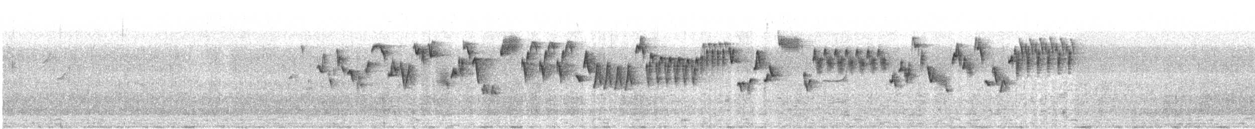 Troglodyte de Baird (groupe pacificus) - ML576147091