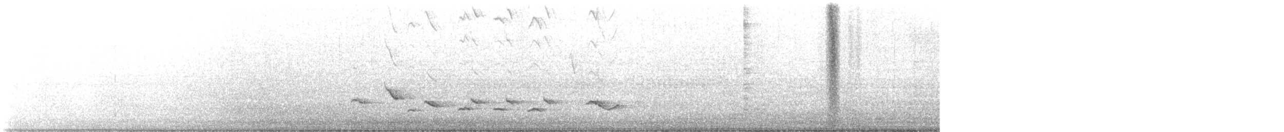 Baltimore Oriole - ML576181651