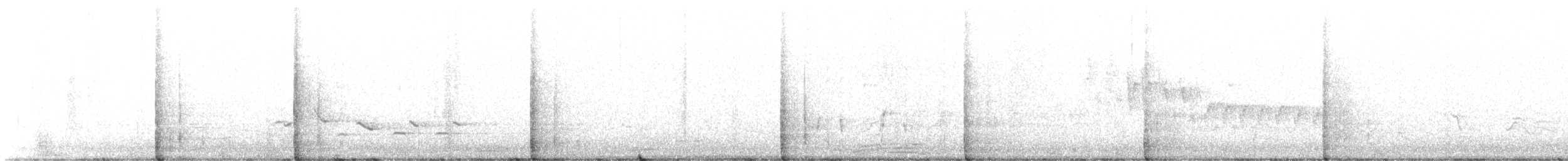 Northern House Wren - ML576185531