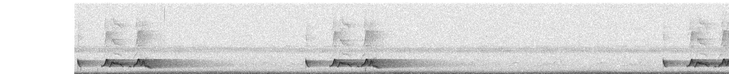 Chuck-will's-widow - ML576187751