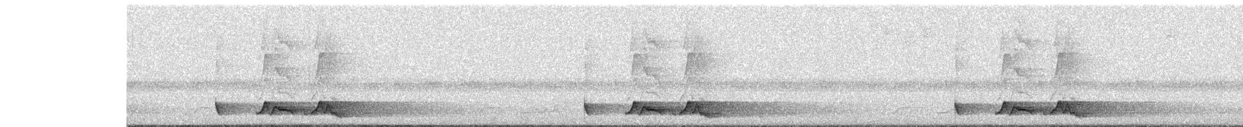 Chuck-will's-widow - ML576187891