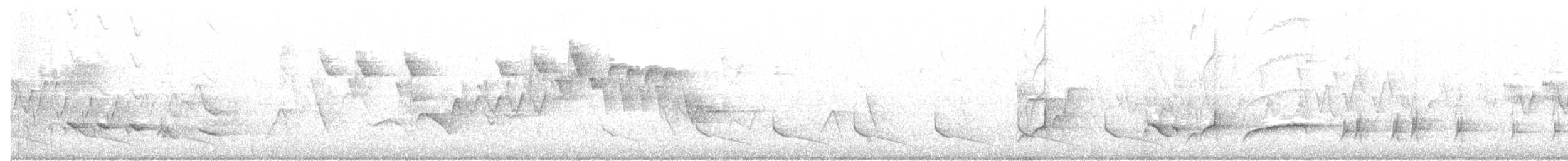 Cerulean Warbler - ML57619031