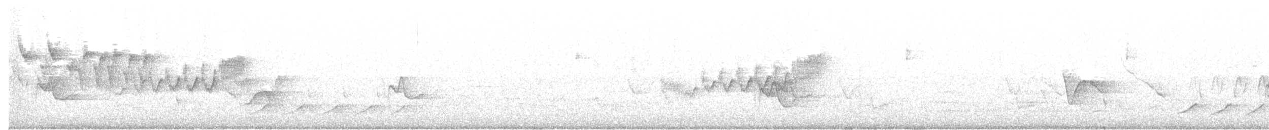 Cerulean Warbler - ML57619071