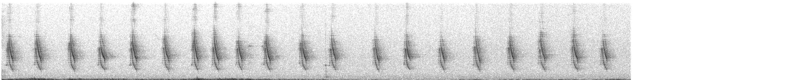 Méliphage orné - ML576227261